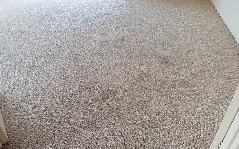 Before cleaning: bedroom with old drink spills