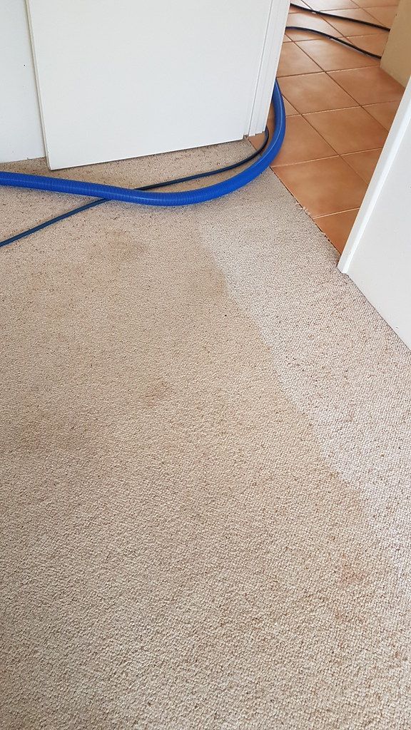A hallway carpet with one clean stripe next to dingy carpet