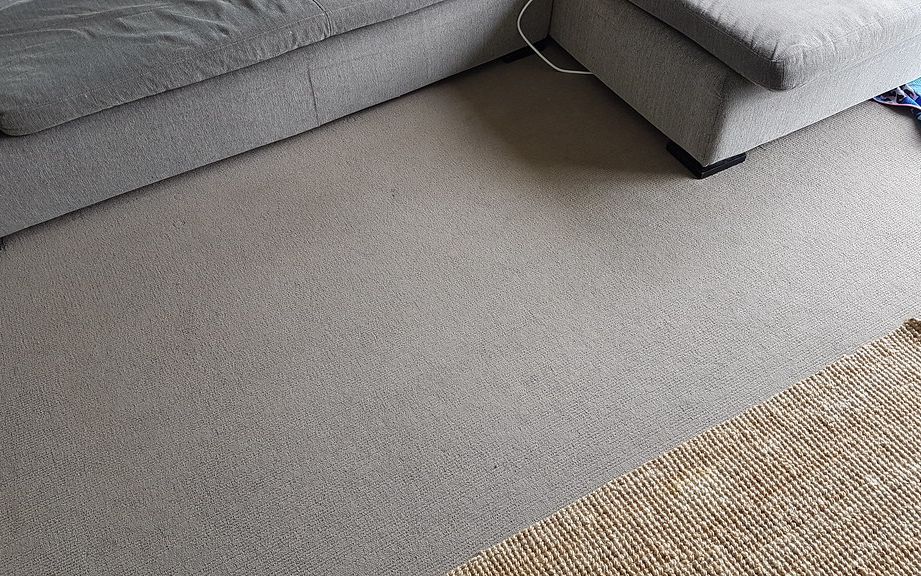 After cleaning: living room carpet by a gray sectional