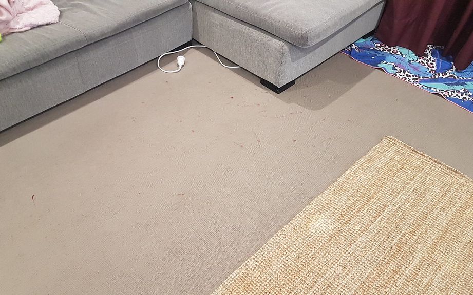 Before cleaning: living room carpet by a gray sectional