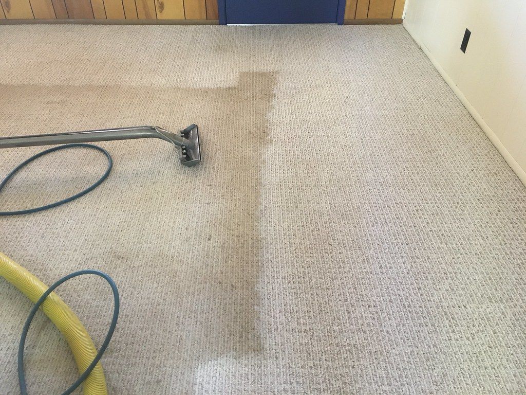 Den, halfway through