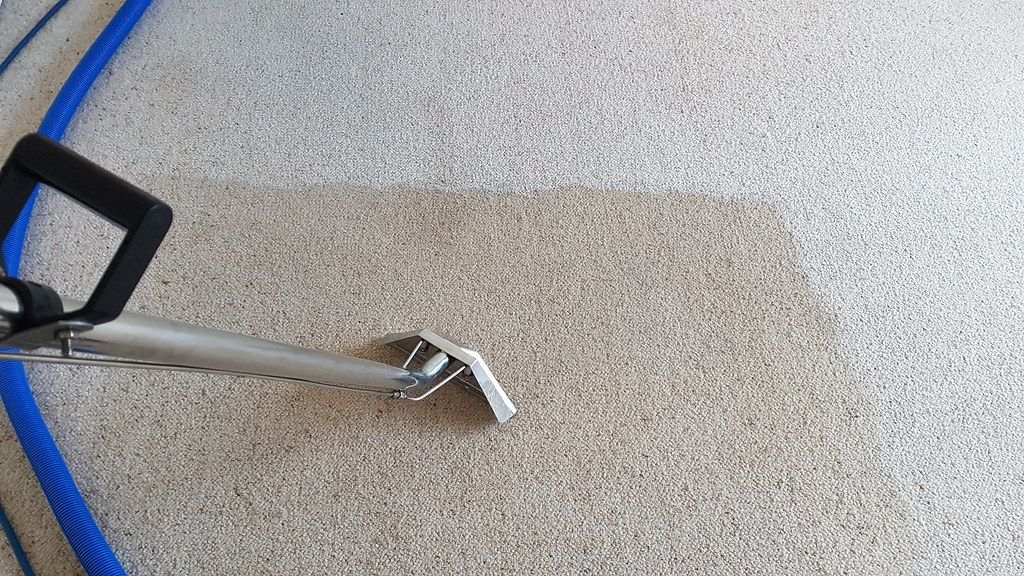 A cleaning wand leaving a bright clean stripe across a dingy beige carpet